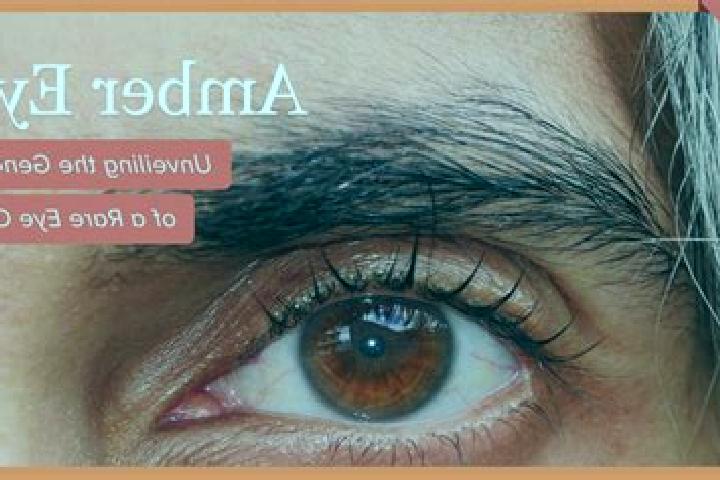 Abigail, 22, a black amber-eyed ebony companion based in Bresles. Offering Prostate Massage, Travel Companion, GFE. Available for incall and outcall, day and...