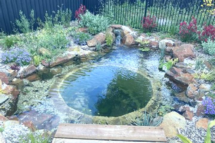 Abigail, 22 — Escort in The Ponds, Australia
