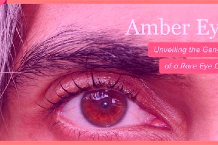 Abigail, 23, a red amber-eyed mediterranean companion based in Lamae. Offering Domination, Fetish, Massage. Available for incall and outcall, overnight booki...
