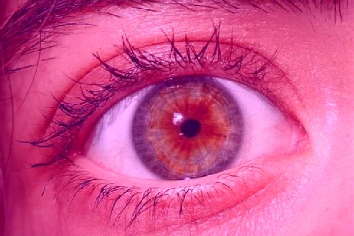 Abigail, 24, a red hazel-eyed mediterranean companion based in Sancrox. Offering Tantra, CIM, Fetish, Travel Companion, OWO. Available for incall and outcall...