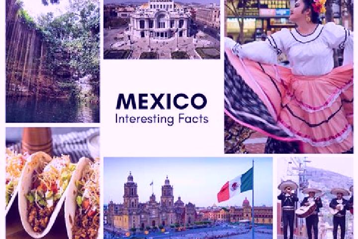 Abigail, 24 — Escort in Cuonetzingo, Mexico