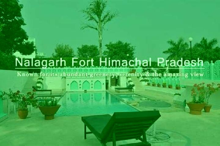 Abigail, 24 — Escort in Nalagarh, India