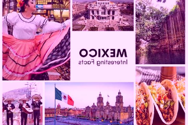 Abigail, 24 — Escort in Soyalo, Mexico