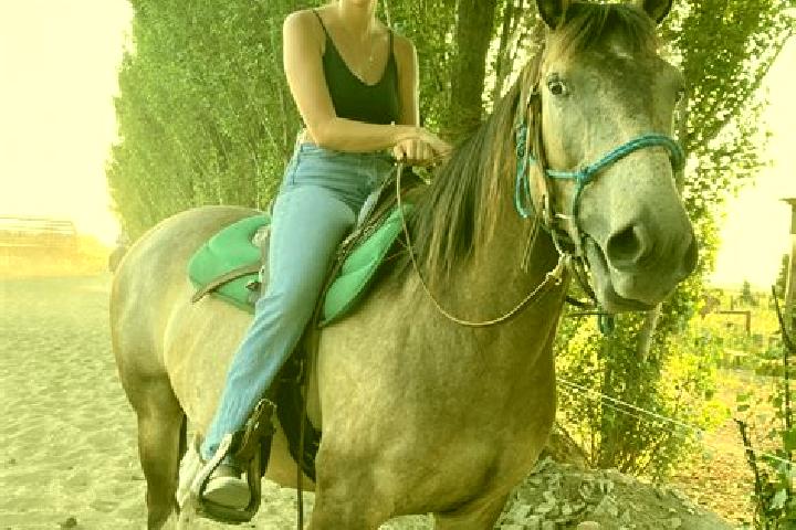 Abigail, 24 — Escort in Tesedikovo, Slovakia