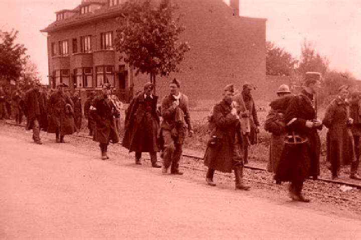Abigail, 25, a auburn blue-eyed indian companion based in Eben-Emael. Offering Massage, Deep French Kissing, CIM. Available for incall and outcall, day and e...