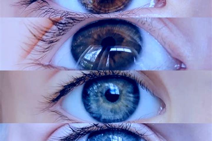 Abigail, 25, a chestnut blue-eyed mixed companion based in San Martin Comalapa. Offering Domination, Erotic Massage, Striptease, GFE. Available for incall an...