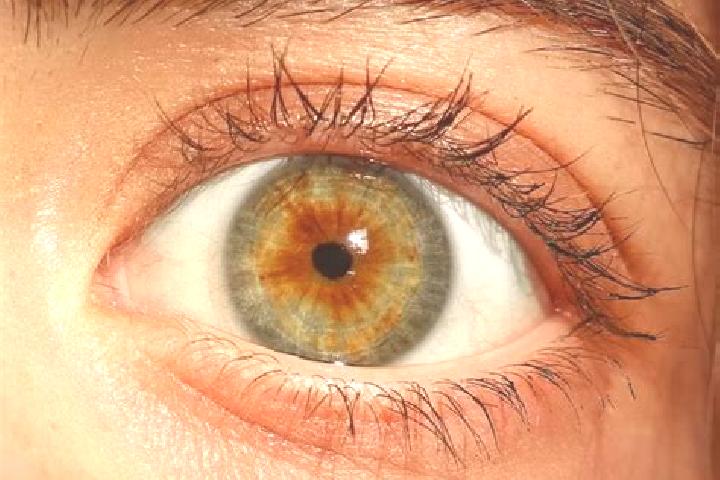 Abigail, 25, a red hazel-eyed middle eastern companion based in Bejuco. Offering Travel Companion, CIM, OWO, Prostate Massage. Available for incall and outca...