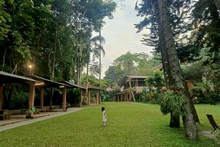 Abigail, 25 — Escort in Cipaku, Indonesia