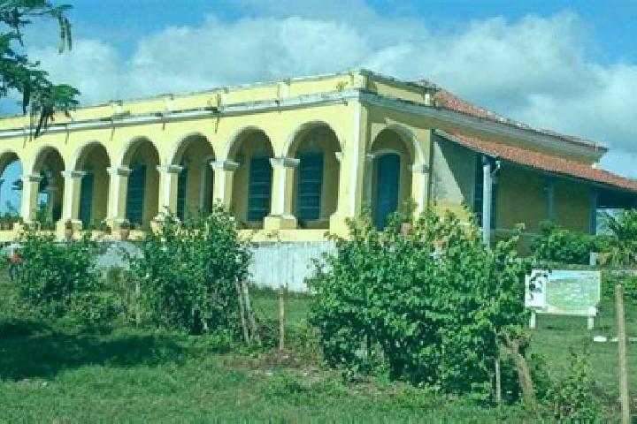 Abigail, 25 — Escort in Guaimaro, Cuba