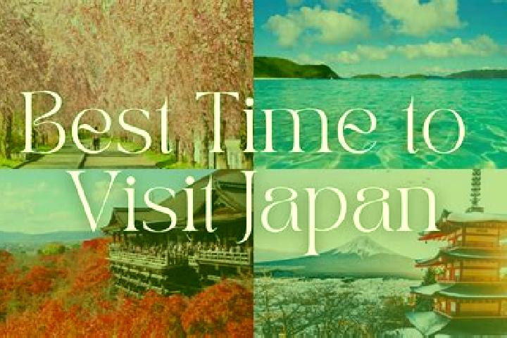 Abigail, 25 — Escort in Miyazaki, Japan