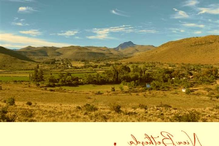 Abigail, 25 — Escort in Nieu-Bethesda, South Africa