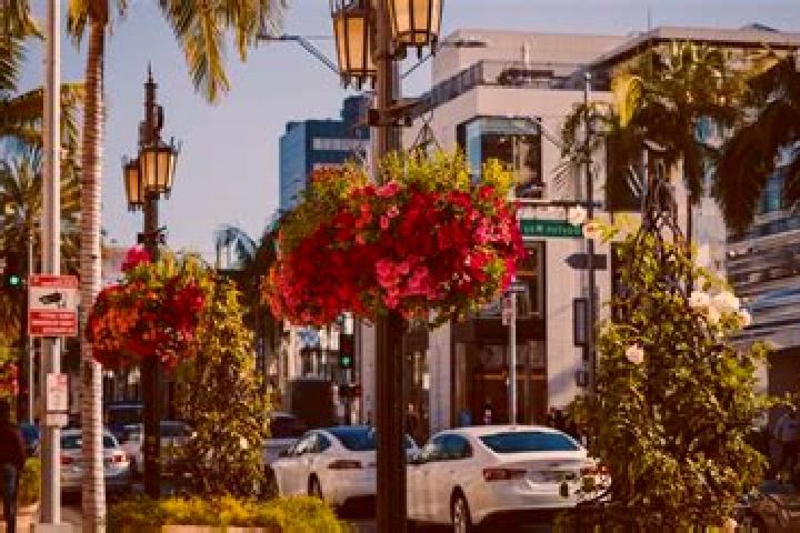 Abigail, 25 — Escort in Santa Ana Viejo, Mexico