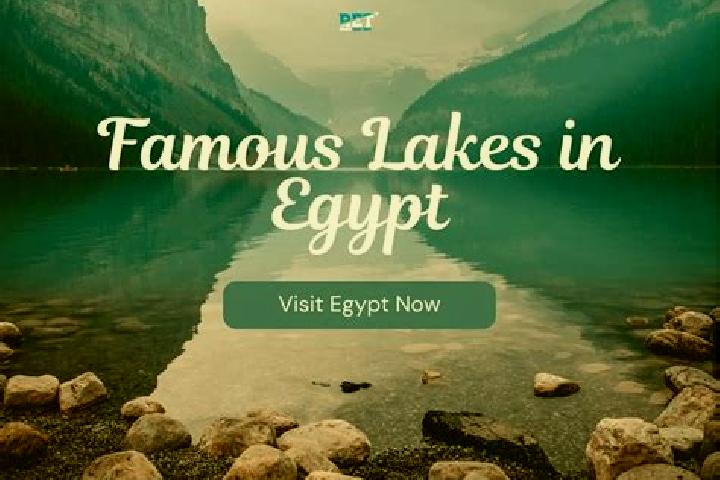 Abigail, 25 — Escort in Sirs al Layyanah, Egypt