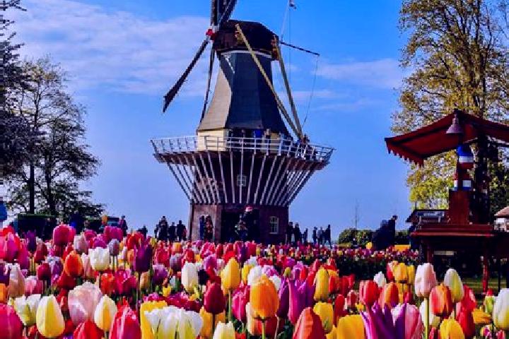 Abigail, 25 — Escort in Spainkbos, Netherlands