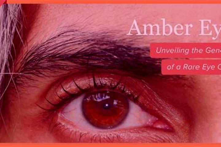 Abigail, 26, a black amber-eyed mediterranean companion based in Laion. Offering Erotic Massage, GFE, Deep French Kissing, Fetish. Available for incall and o...