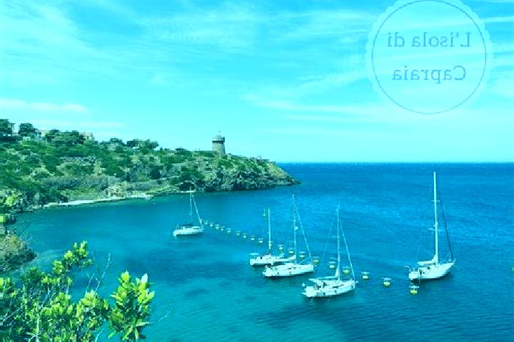 Abigail, 26 — Escort in Capraia Isola, Italy