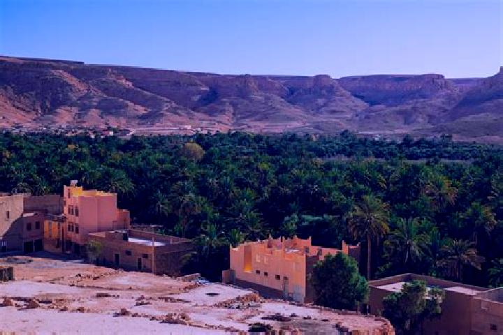 Abigail, 26 — Escort in Tazarine, Morocco