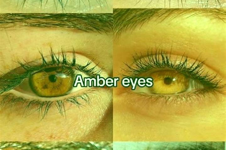 Abigail, 27, a brunette amber-eyed caucasian companion based in Aksay. Offering Massage, Domination, Couples, Overnight, BDSM. Available for incall and outca...