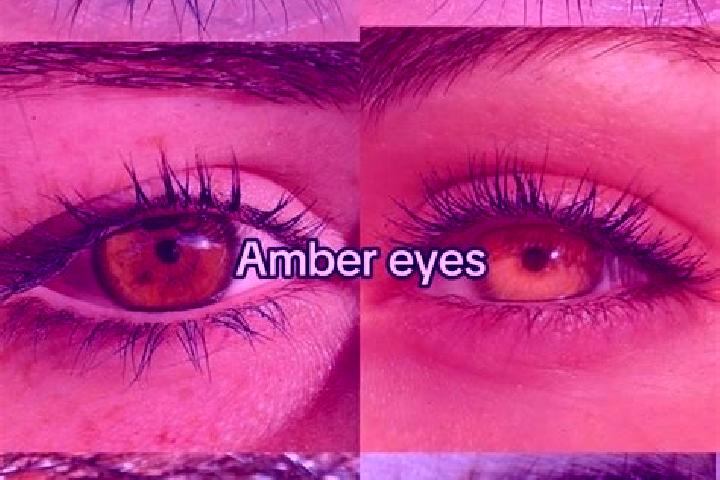 Abigail, 27, a chestnut amber-eyed latina companion based in Breda. Offering Deep French Kissing, OWO, Massage, Duos. Available for incall and outcall, overn...