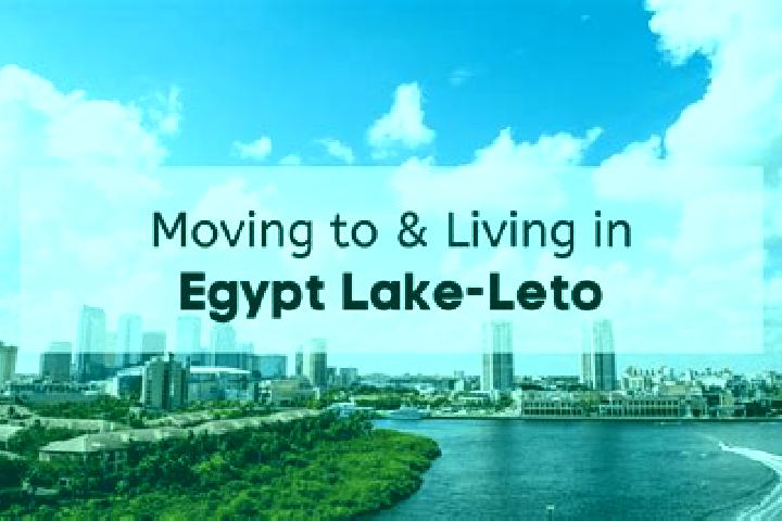 Abigail, 27 — Escort in Egypt Lake-Leto, United States