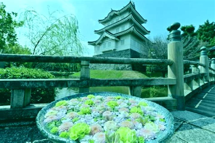 Abigail, 27 — Escort in Gyoda, Japan