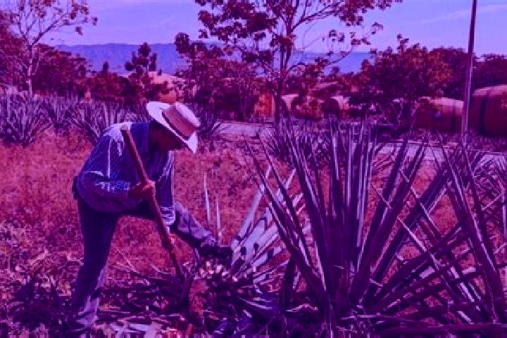Abigail, 27 — Escort in San Juan Bautista Jayacatlan, Mexico