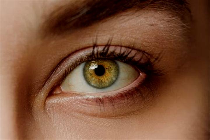 Abigail, 28, a blonde hazel-eyed mixed companion based in Kostomuksha. Offering OWO, Massage, Domination, Fetish. Available for incall and outcall, overnight...