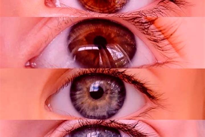 Abigail, 28, a chestnut dark-eyed middle eastern companion based in Due West. Offering OWO, Fetish, Striptease, Domination. Available for incall and outcall,...