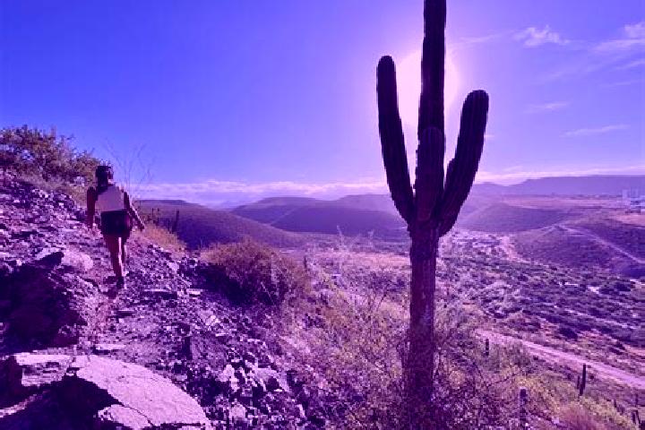 Abigail, 28 — Escort in Cerro de la Palma, Mexico