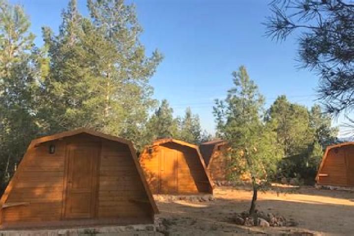 Abigail, 28 — Escort in El Campamento, Mexico
