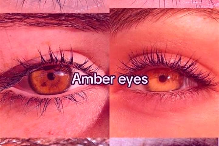 Abigail, 29, a brunette amber-eyed indian companion based in Palali. Offering Overnight, Massage, Striptease, OWO, BDSM. Available for incall and outcall, da...