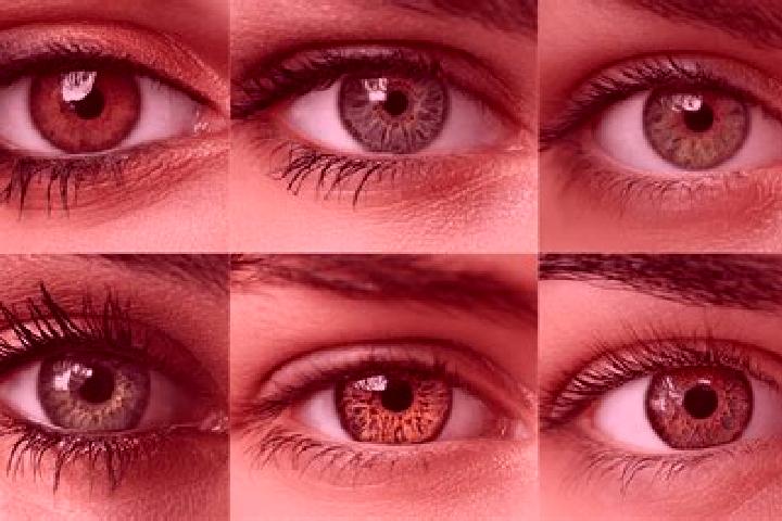Abigail, 29, a red hazel-eyed middle eastern companion based in Urung. Offering Duos, Dinner Date, BDSM, Fetish. Available for incall and outcall, overnight ...