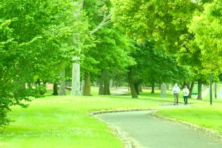 Abigail, 29 — Escort in Croydon Park, Australia
