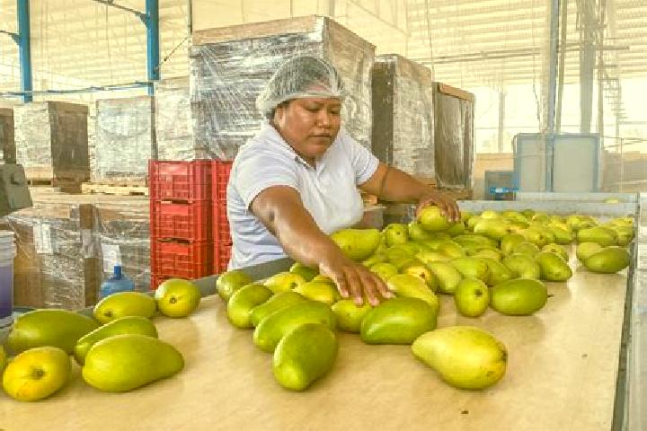 Abigail, 29 — Escort in Plan de los Mangos, Mexico