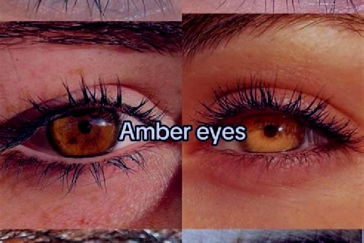 Abigail, 30, a chestnut amber-eyed caribbean companion based in Le Fuilet. Offering Girlfriend Experience, OWO, Fetish. Available for incall and outcall, ove...