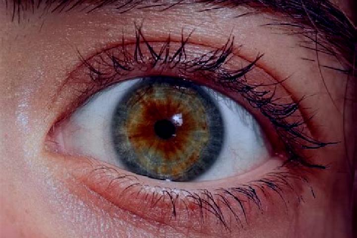 Abigail, 30, a red hazel-eyed indian companion based in Acedera. Offering Striptease, BDSM, Roleplay. Available for incall and outcall, overnight bookings av...
