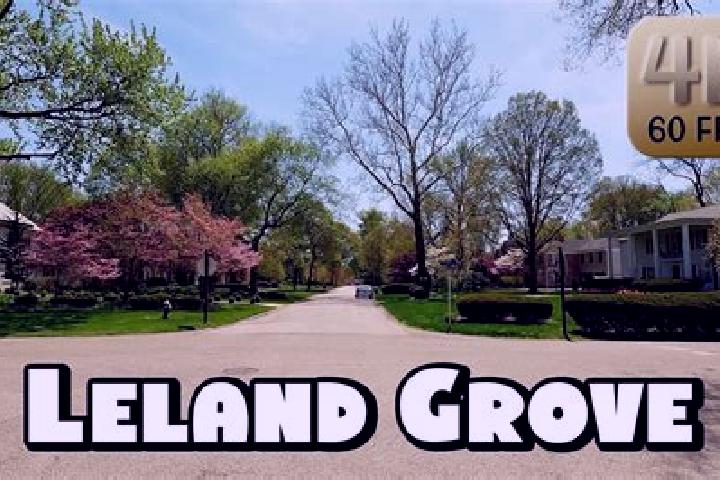 Abigail, 30 — Escort in Leland Grove, United States