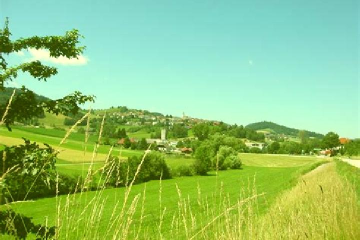 Abigail, 30 — Escort in Peilstein im Muehlviertel, Austria
