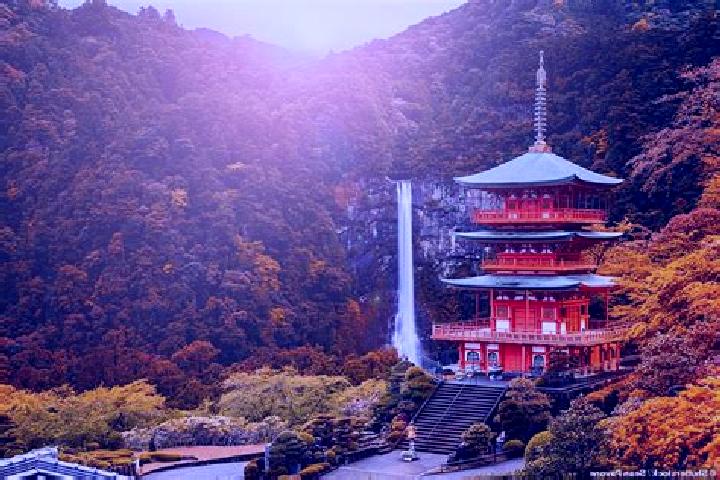 Abigail, 30 — Escort in Wakayama, Japan
