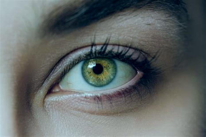 Abigail, 31, a chestnut hazel-eyed mixed companion based in Shinden. Offering GFE, Tantra, Duos. Available for incall and outcall, overnight bookings available.