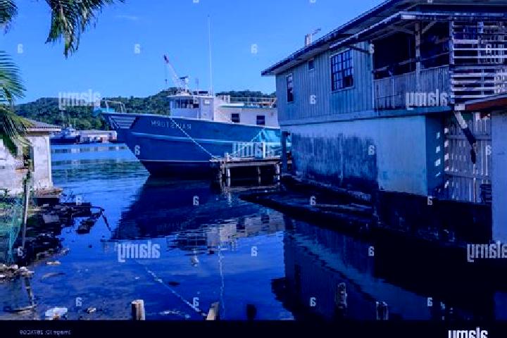 Abigail, 31 — Escort in French Harbor, Honduras