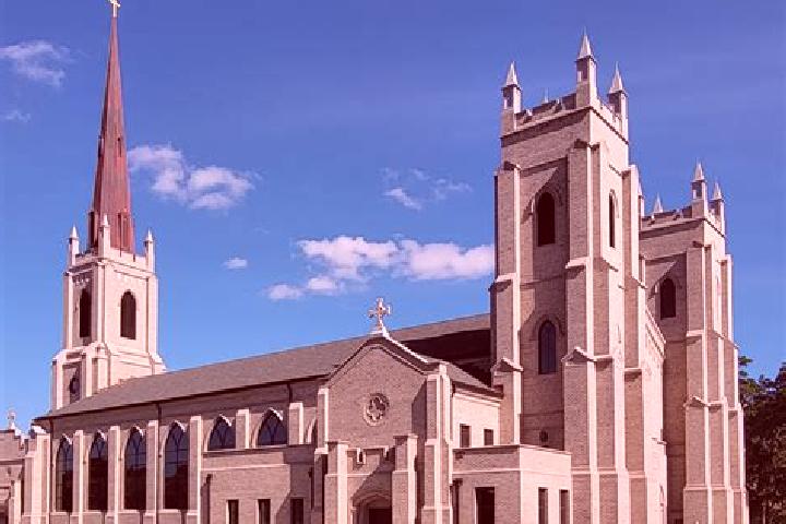 Abigail, 31 — Escort in Shaker Church, United States