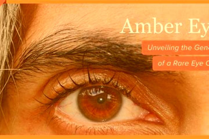 Abigail, 32, a red amber-eyed indian companion based in Fuskou. Offering Travel Companion, Prostate Massage, Deep French Kissing, GFE. Available for incall a...