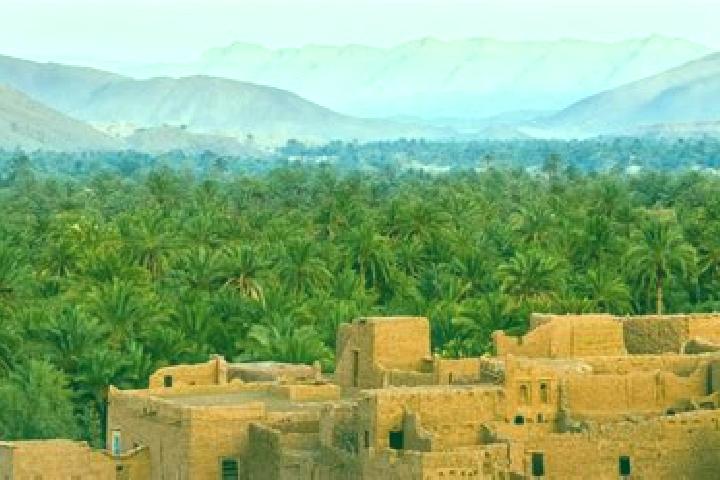 Abigail, 32 — Escort in El Ouatia, Morocco