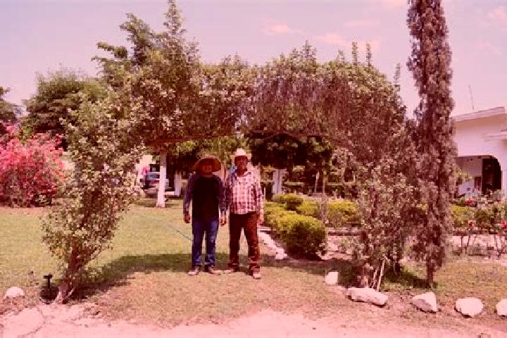 Abigail, 32 — Escort in Goros Pueblo, Mexico