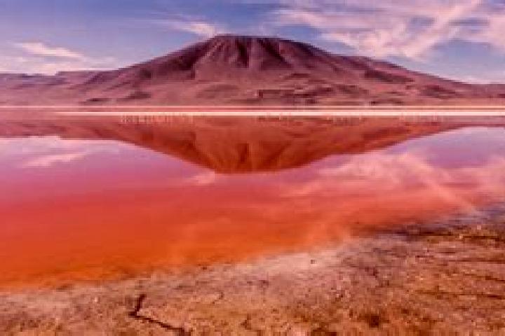 Abigail, 32 — Escort in Laguna Colorada, Mexico