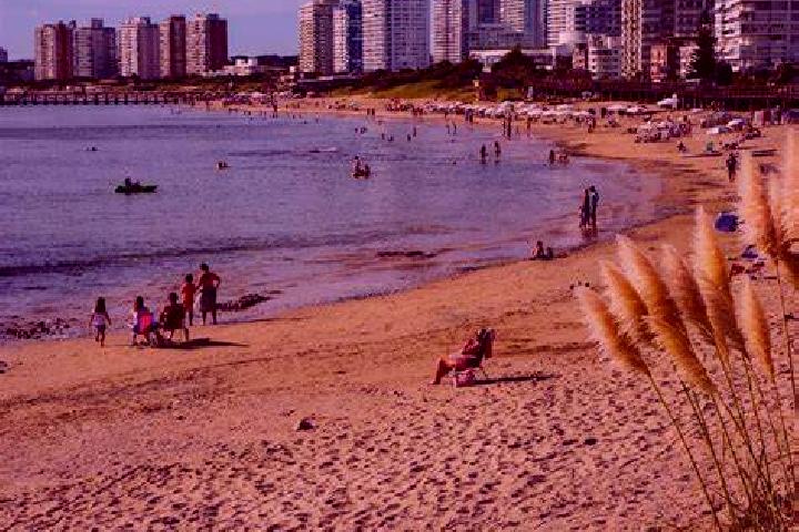 Abigail, 33, a chestnut brown-eyed european companion based in Punta del Este. Offering Domination, Prostate Massage, Massage. Available for incall and outca...