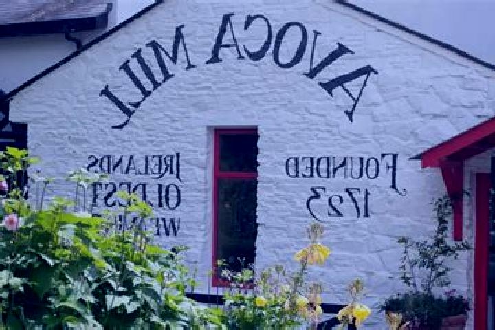 Abigail, 33 — Escort in Avoca, Ireland