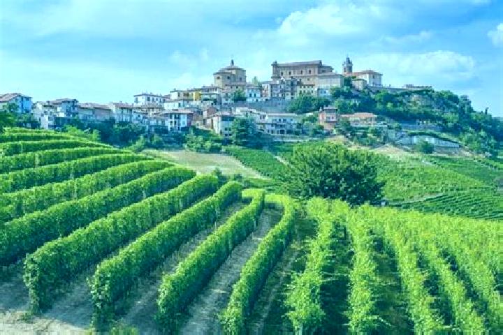 Abigail, 33 — Escort in Frassinello Monferrato, Italy