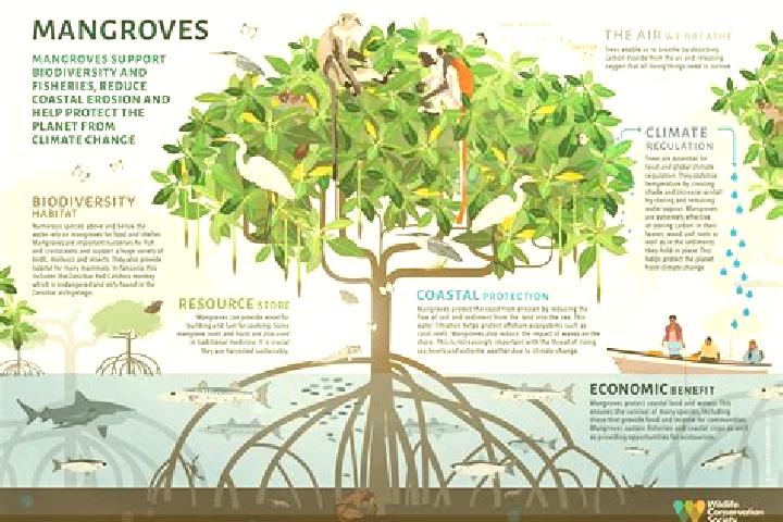 Abigail, 33 — Escort in Mangrove Mountain, Australia